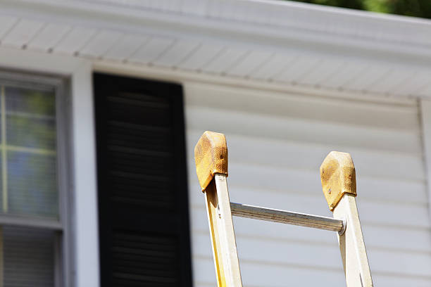 Best Hoarding Cleanup  in Hartley, IA